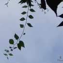 황정캠핑장 입구 이미지