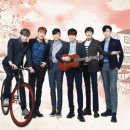 페리카나4 이미지