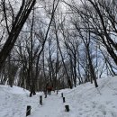 아토믹크루 | [사진후기] 아크테릭스 백컨트리 스키 여행. 2일차