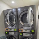 아트호텔 | 강릉 파인아트라벨 호텔 비추후기