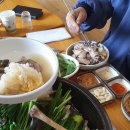 팔공산오리 이미지