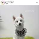 그루멍 이미지