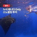 발리 여행 누사페니다 스노클링 만타가오리 크리스탈베이 바다 투어 코스 솔직 후기