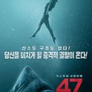47 이미지
