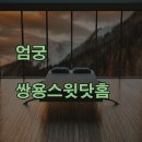 쌍용세탁 | 사상구 엄궁 쌍용스윗닷홈 아파트, 실속 있는 부분 리모델링 후기