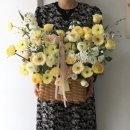 이솝플라워 이미지