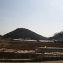 석교2리 이미지