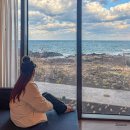 속솜스테이 | 제주도 호텔 추천 신라스테이 이호테우 플러스 수영장 조식 할인