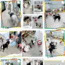 더 예쁘개 이미지