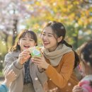 드렁허리즙의 놀라운 효능과 특징 8가지