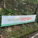 펀펀오락실 이미지