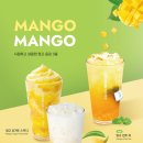 망고망고
