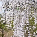 반월놀이공원 이미지