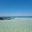 제주하와이호텔 이미지