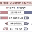 보성렌탈