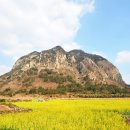 산방산의봄 이미지