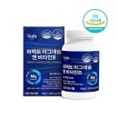 뉴퍼펙트 이미지