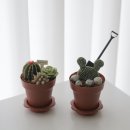 초록아트빌 | 천안아산 &#39;다육식물 앙금 꽃짜기&#39; 원데이 키즈 떡 클래스