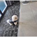 더블루네스 이미지