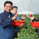 김용선 농장 이미지