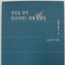 손수진 - 흰 뼈를 줍다 외 이미지