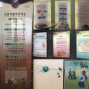 [고창여행/ 고창가볼만한곳] 고창 복분자,장어 푸드테라피 굿!