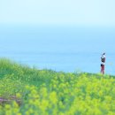 바다풍경(오륙도) 이미지