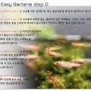 더네이처팜 이미지