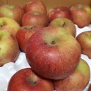 성재농장 이미지