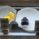 쁘다마래 이미지