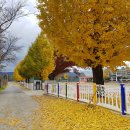 남하초등학교 이미지