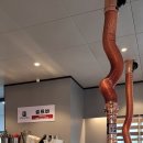 화화돼지왕갈비 이미지