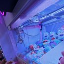 플레이샵 인형뽑기 이미지