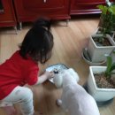 콩이네 멍냥 수제간식 이미지