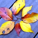 수지생태공원 이미지