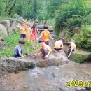 숲속자연유치원 이미지