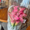 에덴스튜디오 | W18) 남대문꽃시장 '에덴화원' 웨딩촬영 서브부케 가격 및 후기