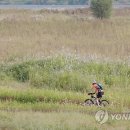국토종주자전거길1-75 이미지