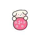 카페트위너스
