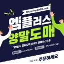 엠플러스유통 이미지