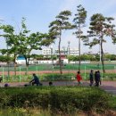 정왕동체육공원 인라인스케이트장