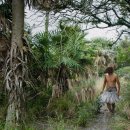 (주)영화인터내셔널 이미지