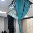 파더스클린 이미지