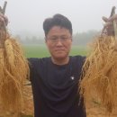 충대농약사 이미지