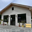 북면437 | 숲크닉커피': 울릉도 카페 왕추천, 나리분지 카페, 커피와 마들렌 맛집, 내돈내산 울릉도 커피 맛집 후기