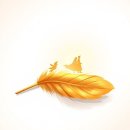 공주깃털 이미지