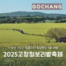 대정농장 | 2025 고창 청보리밭 축제 인생샷 건지긴 힘들지만 힐링했던 5월 여행 꿀팁 위주