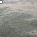 한율초등학교 이미지