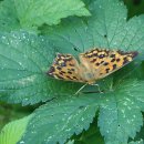 서천농장 이미지