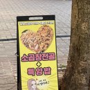 달빛소곱창 네이버블로그